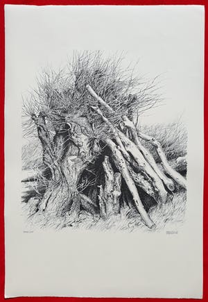 Patrick Creyghton - Wilg met boomstammen, litho kopen? Bied vanaf 50!