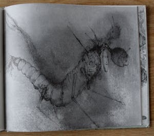 Dirkje Kuik - aquarel/tekening Aram en de bende van de boomstam" + boek waarin tekening staat kopen? Bied vanaf 175!