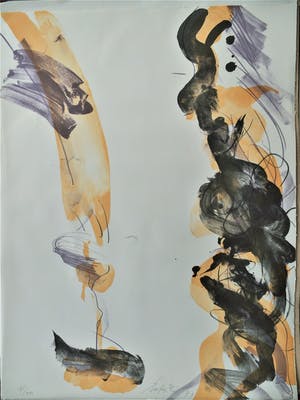 Ger Lataster - toplitho kopen? Bied vanaf 45!
