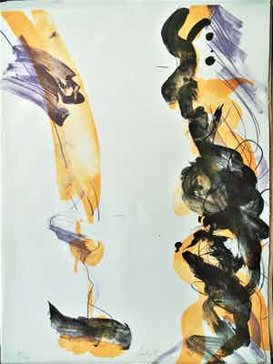 Ger Lataster - toplitho verkocht voor € 45!