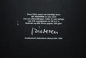 Lotti van der Gaag - Zeefdruk op katoenzijde + Litho Jef Diederen + 6x Lotti/Cobra-boeken kopen? Bied vanaf 75!