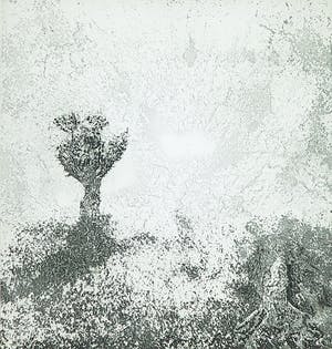 Rins Heidema - Ets, Verschijning kopen? Bied vanaf 20!