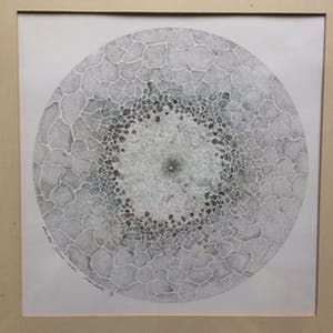 Andre Gouw - Mandala IX kopen? Bied vanaf 40!