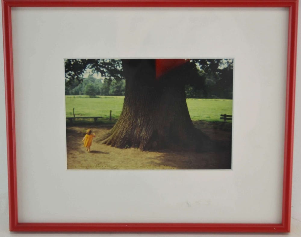 Daan van Golden - C print. Diana Laren 1979-1994 verkocht voor € 750!