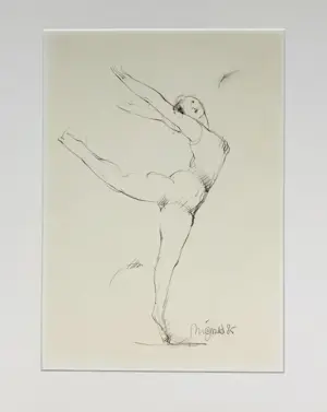 Nic Jonk - Ballerina kopen? Bied vanaf 95!