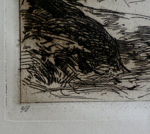 Willem Zwart - ets: ruïne in het bos kopen? Bied vanaf 39!