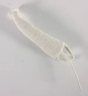 Kathja Smits - Porselein, Ratje kopen? Bied vanaf 100!