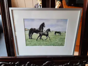 Wiebe A van der Zee - Zeefdruk, Paarden. kopen? Bied vanaf 40!