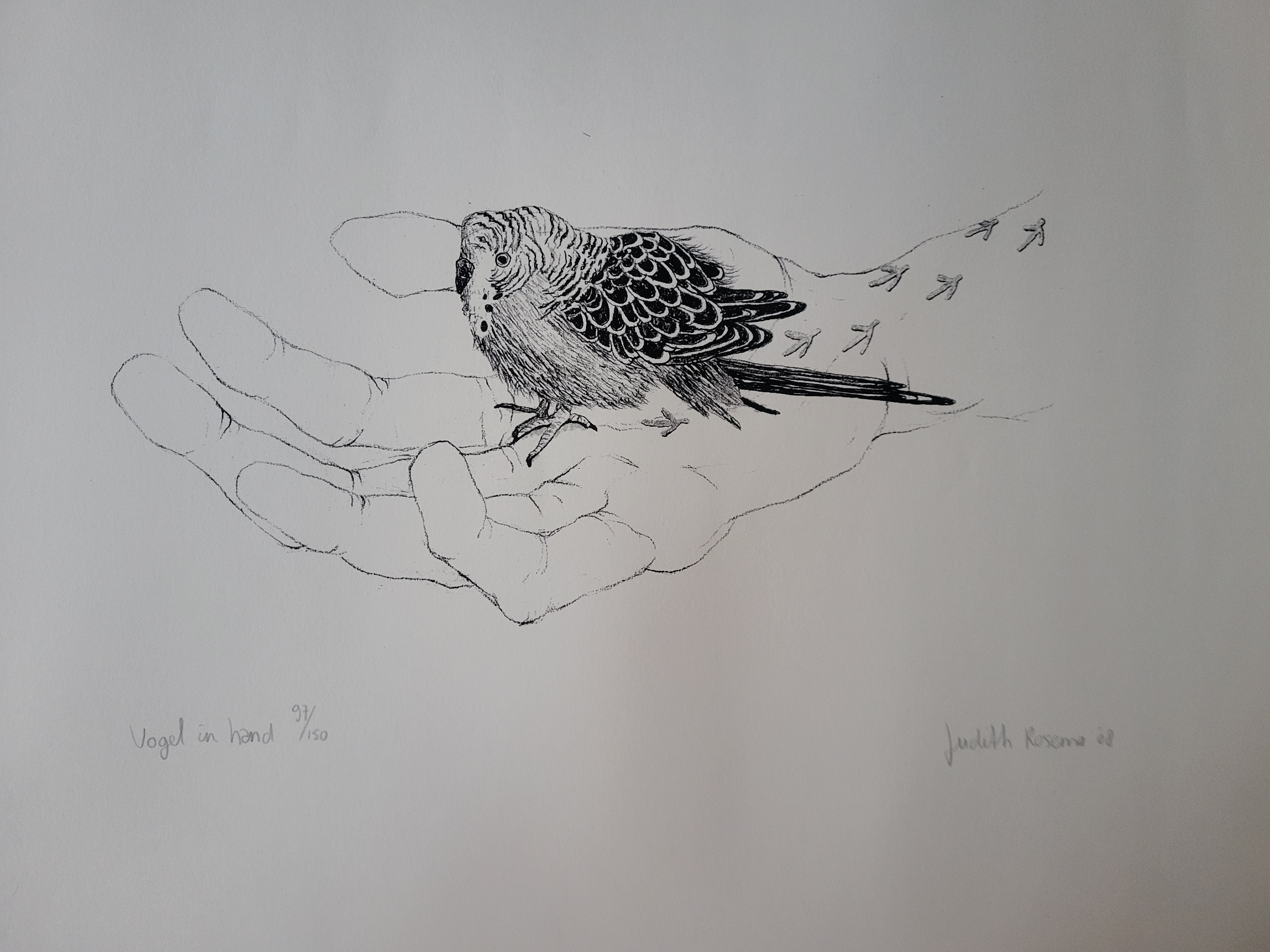 Judith Rosema (1977)