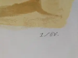 Ed Valk - Litho kopen? Bied vanaf 10!