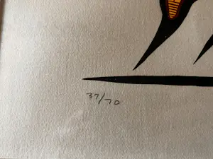 Goyce Kakegamic - Rain Dance Zeefdruk 37/70 kopen? Bied vanaf 40!