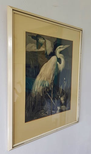 Adriaan van 't Hoff - zilverreiger kopen? Bied vanaf 75!