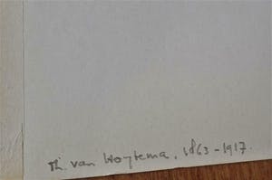 Theo van Hoytema - 'Witte kaketoe aan ketting op stok' kopen? Bied vanaf 50!