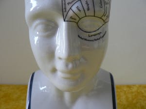 Curiosa - Phrenology head by L.N.Fowler - Met Kleur kopen? Bied vanaf 60!