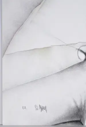 Pol Mara - gesigneerde lithografie kopen? Bied vanaf 80!