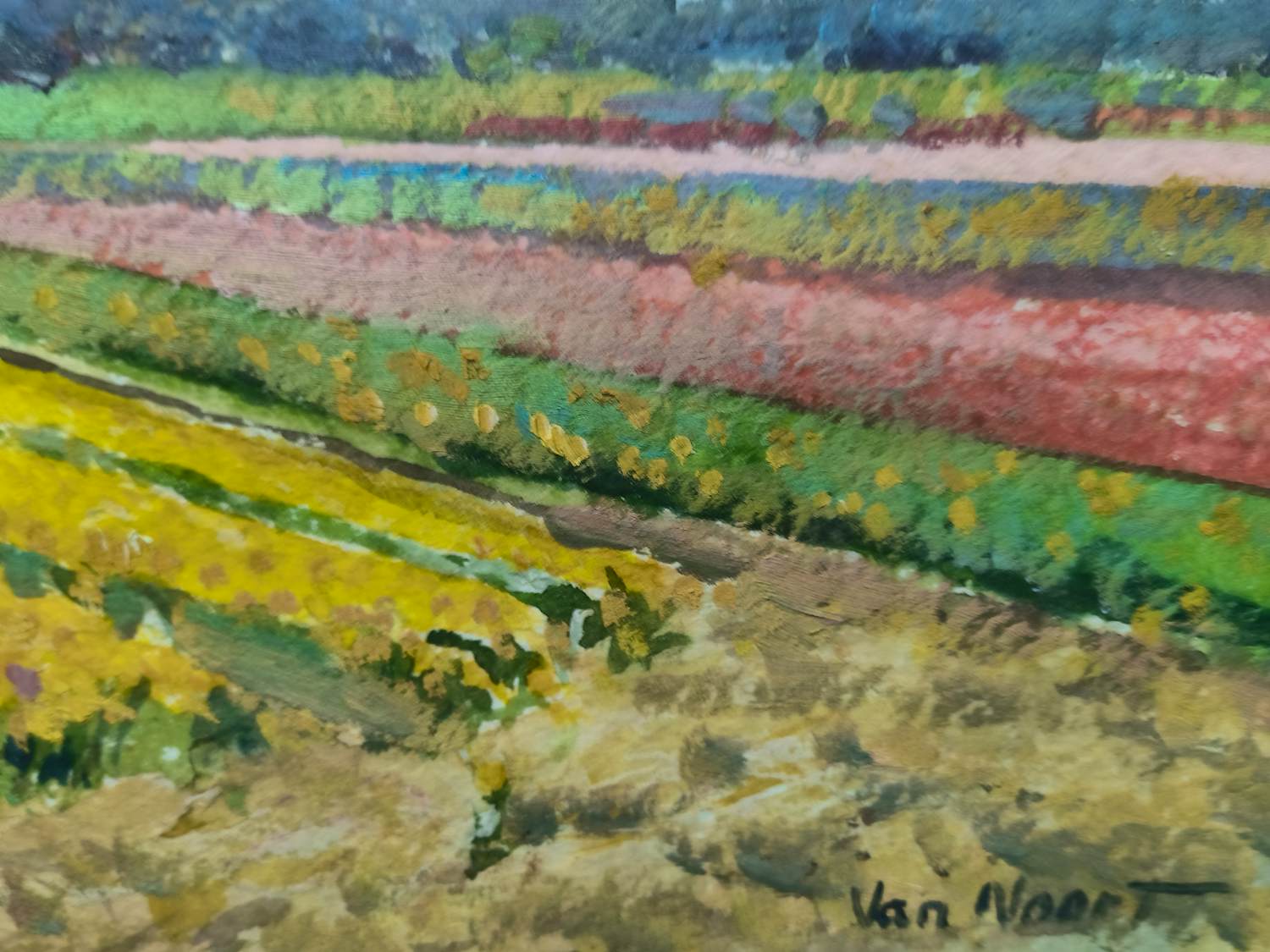 Arie-Kees van Noort - Bollenveld Hillegom kopen? Bied vanaf 175!