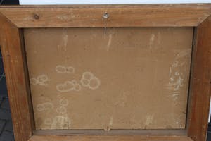 Jaap Luttge - STILLEVEN MET SCHOEN kopen? Bied vanaf 125!