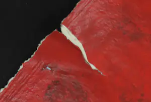 Piotr Konkel - Zeefdruk, Zonder titel kopen? Bied vanaf 1!