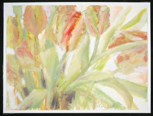 Pieter Schotman - Gouache, Z.T. (tulpen) kopen? Bied vanaf 1!