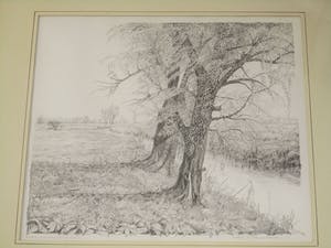 Cees Schellenberg - Tekening - Mariapolder Dordrecht kopen? Bied vanaf 60!