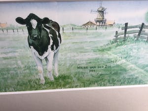 Wiebe A. van der Zee - C5142-1, Koeienweide kopen? Bied vanaf 25!