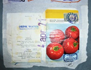 Viktor IV - Saterday Morning Post kopen? Bied vanaf 160!