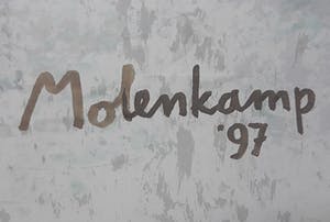 Nico Molenkamp - Giraffe overdag, zeefdruk (mooi ingelijst, groot!) kopen? Bied vanaf 350!