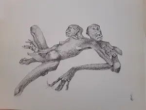 Melle Oldeboerrigter - Ter gelegenheid van Melle,s 60e verjaardag kopen? Bied vanaf 45!