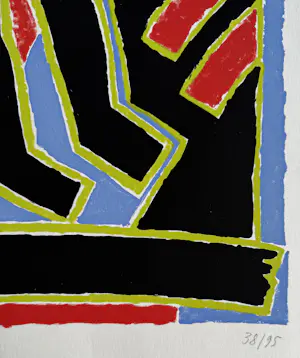 Ferenc Gogos - handgesigneerde kleurenlitho | 'Vogelman' | 1995 kopen? Bied vanaf 150!