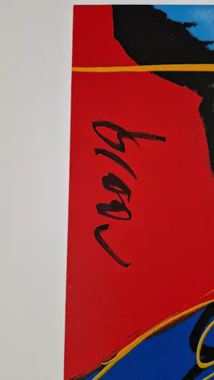 Herman Brood - Little Richard kopen? Bied vanaf 550!