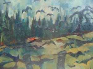 Jan Kuhr - Kraaien van Heeze kopen? Bied vanaf 150!