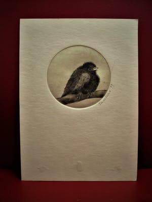 Niet of onleesbaar gesigneerd - Grafisch meesterwerkje "Vogeltje op tak" gesigneerd en gedateerd kopen? Bied vanaf 1!