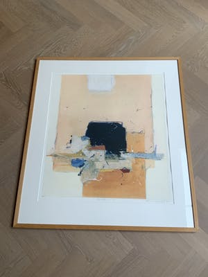 Ron van der Werf - Zeefdruk Symfonie I (14/50) kopen? Bied vanaf 50!