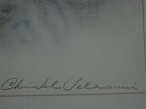 Christel Selmouni - Fraai impressionistisch Pastel(krijt) van een liggende poes - gesigneerd kopen? Bied vanaf 1!