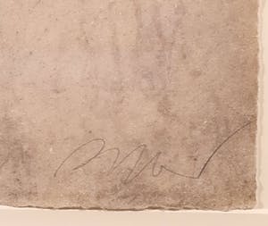 Thomas Aeffner - Gemengde druktechniek, Lily - Ingelijst kopen? Bied vanaf 20!