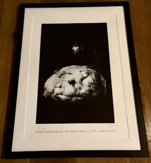 Koen Vanmechelen - Offset Koen Vanmechelen kopen? Bied vanaf 575!