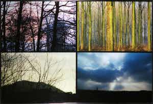 Paul Huf - C-Print, Natuur - Ingelijst (Groot) verkocht voor € 1!