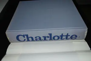 Charlotte Salomon - Het complete werk in 749 gouaches - hardcover 3kg kopen? Bied vanaf 10!