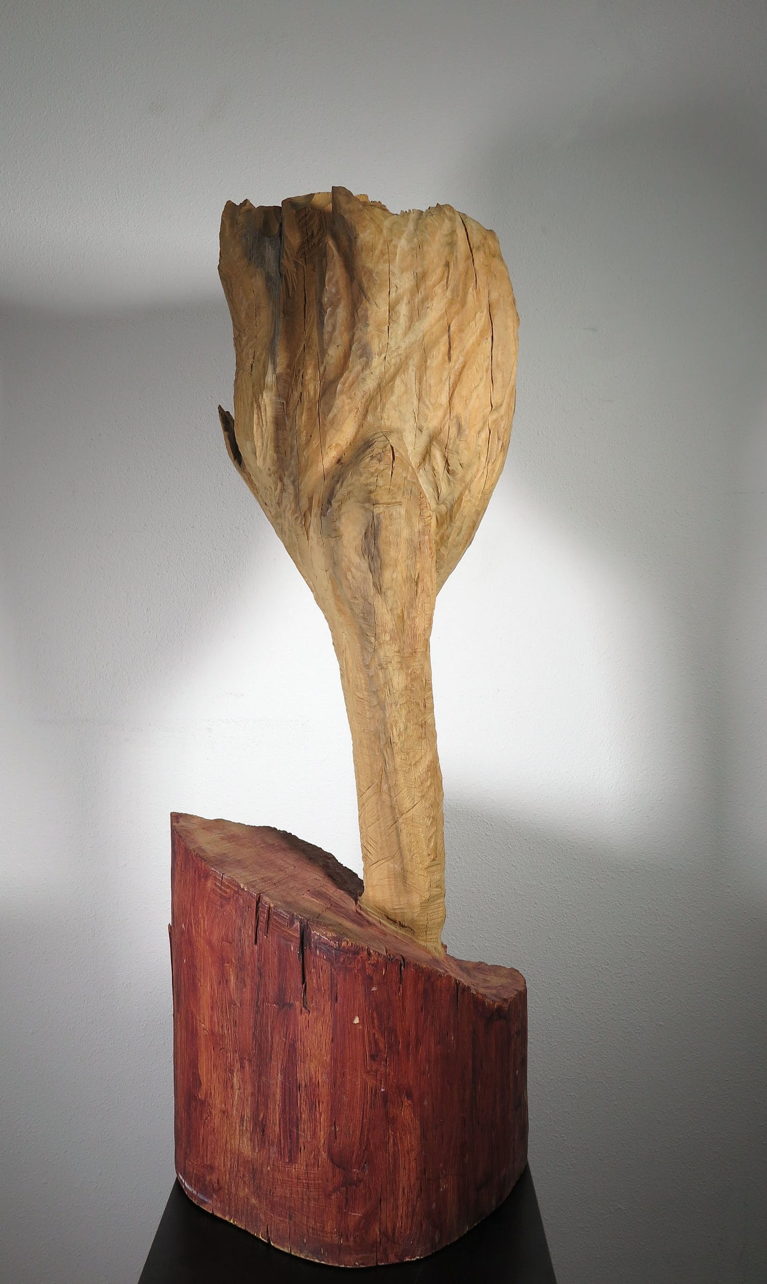 Emile van der Kruk (1956)