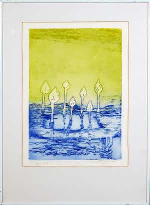 Jan Montyn - Ets, Tempelbloemen van de Mekong- Ingelijst verkocht voor € 100!