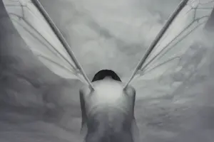 Dariusz Klimczak - 'Night Fly' (2011) - GRATIS VERZENDING kopen? Bied vanaf 70!