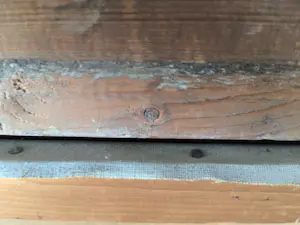 Jan Simon Knikker - Ploegende boer kopen? Bied vanaf 345!