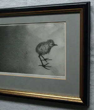 Uto Hogerzeil - Ingelijste ets en aquatint , Jonge Grutto (?) – 1979 – Lijst, 28 x 63 cm. kopen? Bied vanaf 80!