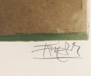 Johnny Friedlaender - Kleurenets, Zonder titel - Ingelijst kopen? Bied vanaf 50!