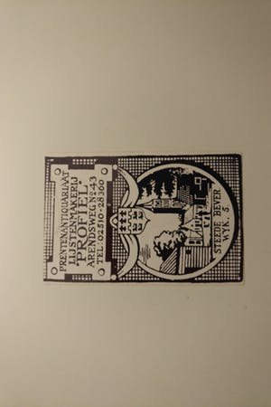 Anton Heyboer - Twee kippen in gevecht kopen? Bied vanaf 250!