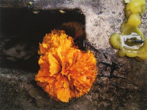 Mark Verdoes - Glicée, Oranjefranje - Ingelijst kopen? Bied vanaf 1!
