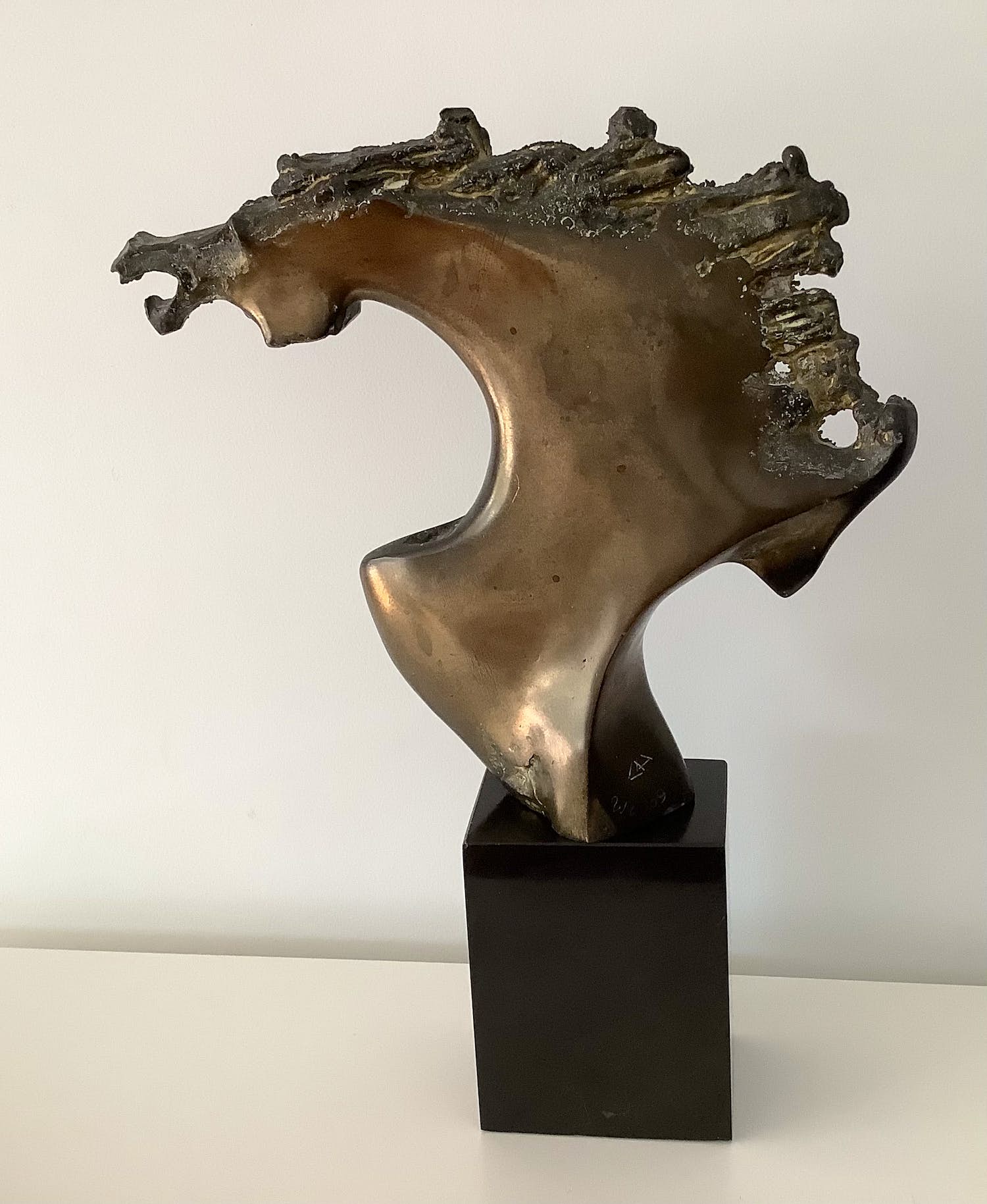 Doko Dokov - Paarden hoofd verkocht voor € 700!