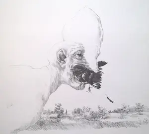 Peter Vos - Schiereiland melancholie- gesigneerde litho kaufen? Bieten Sie von 70!