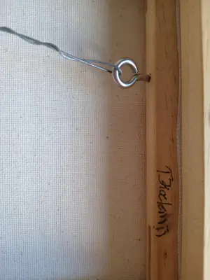 Tanja Koelemij - Musje 2 kopen? Bied vanaf 60!