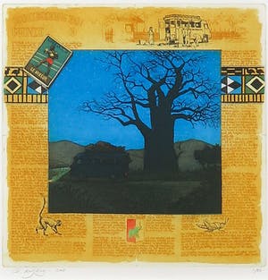 Rolf Weijburg - Kleurenets, De Ontdekking van Guinee II - Ingelijst kopen? Bied vanaf 1!